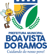 Prefeitura Municipal de Boa Vista do Ramos - Amazonas