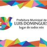 Luís Domingues