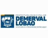 Demerval Lobão