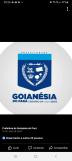 Goianésia do Pará