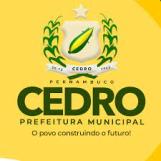 Cedro